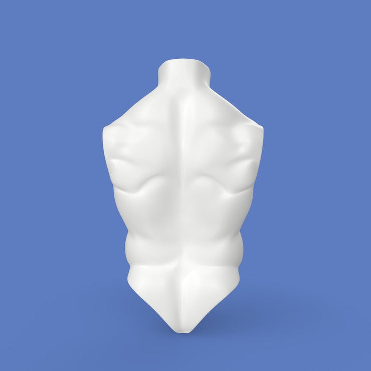 Фотография 3d моделирование торса человека