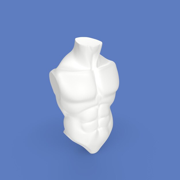 Human torso 3d modelling