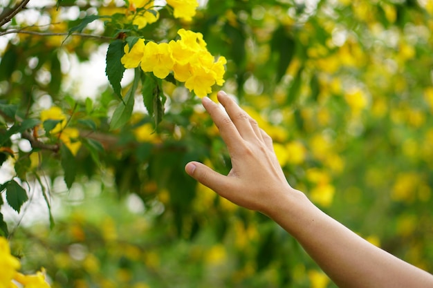 Humans hands touch nature