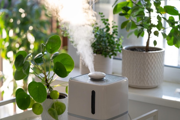 Humidifier for indoor plants Steam vaporizer working inside apartment to hydrate houseplants