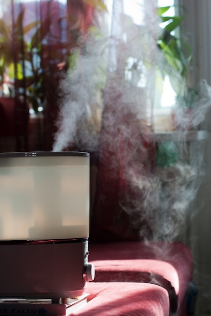 Humidifier spreading steam into the living room