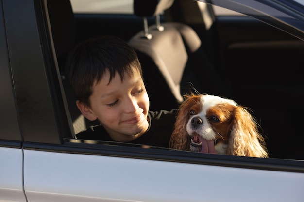 Humorfoto van een tienerjongen die lacht en uit het autoraam kijkt met zijn hond cavalier king charles spaniel, op het punt om op reis te gaan