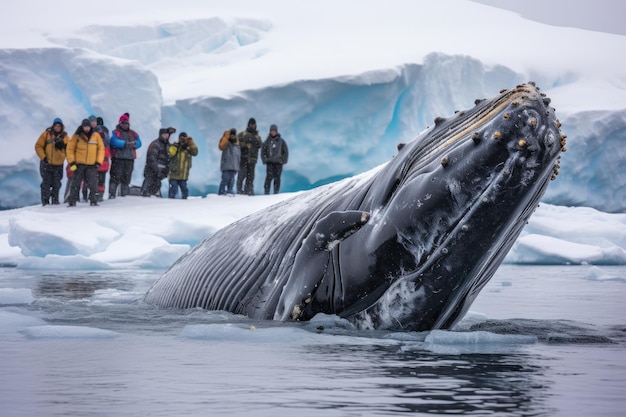 Горбатый кит в антарктических водах Антарктида Горбатый кит в Антарктиде Горбатый кит ныряет, пока туристы снимают событие Антарктика AI Generated