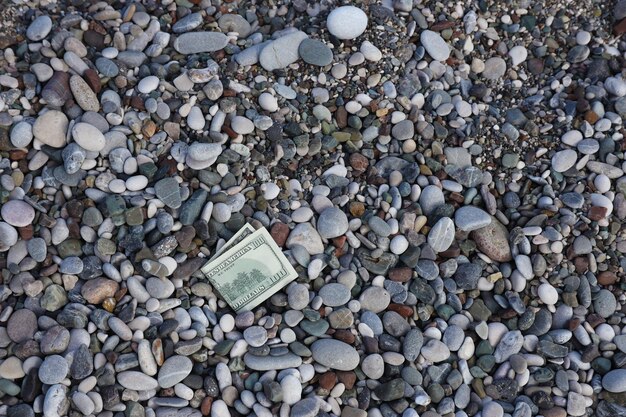 Hundred dollars half covered with round rocks lie on beach