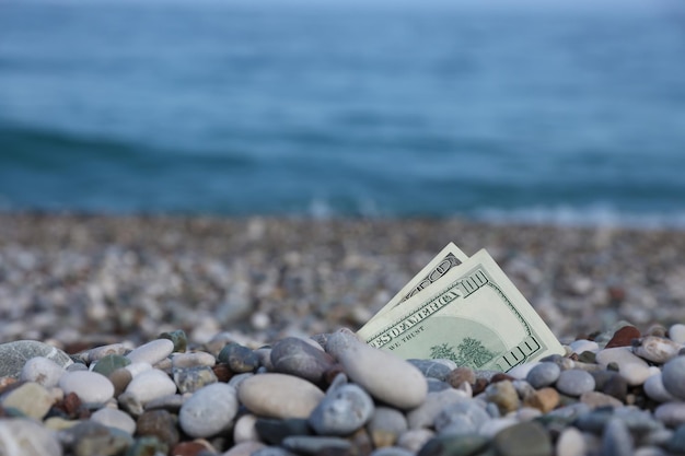 Hundred dollars half covered with round rocks lie on beach