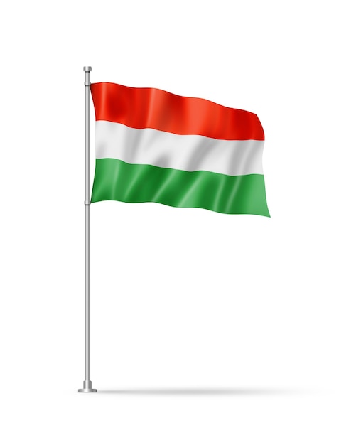 Hungarian flag isolated on white