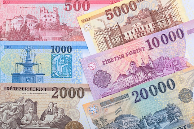 Hungarian money - forint a business