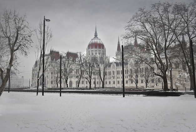 Hungarian Parliament in winter