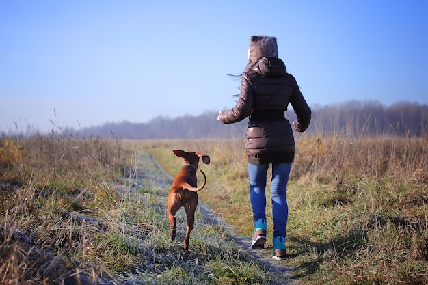 Hungarian vizsla dog and a young girl in a hat, running around in the field