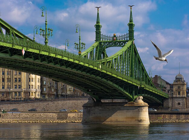 Hungary Budapest, Liberty Bridge against the backdrop of a dramatic sky reflected in the water