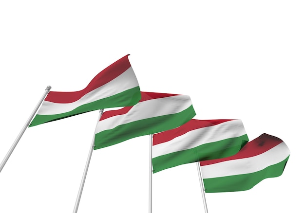 Hungary flags in a row with a white background 3D Rendering