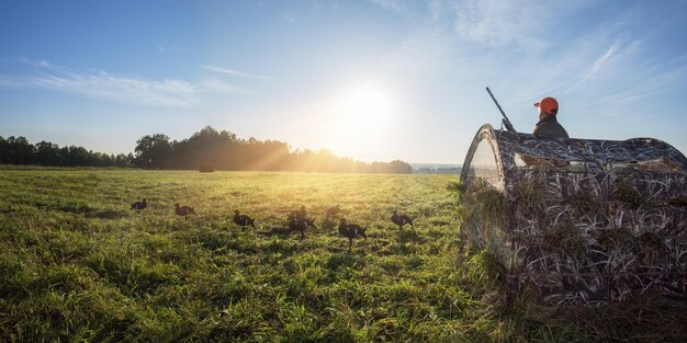 Hunter in the nature at sunrise Hunter in camouflaged hunting blind Banner with copy space