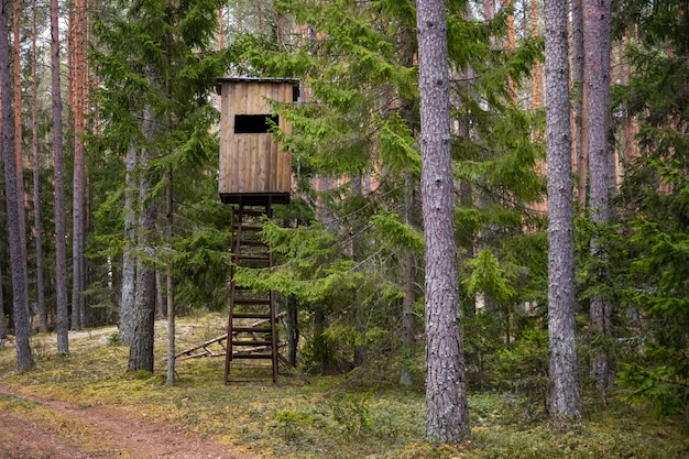 Hunters hut in the forest.