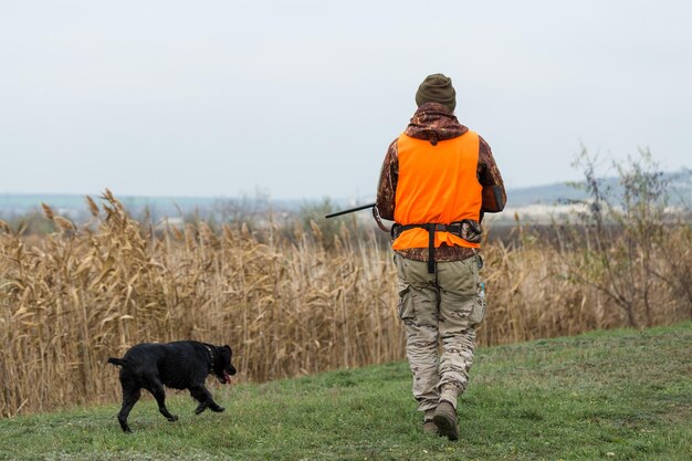 Hunters with a german drathaar and spaniel, pigeon hunting with dogs in reflective vests