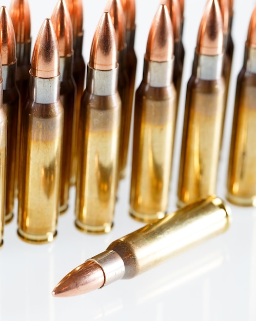 Photo hunting cartridges of caliber. 308 win