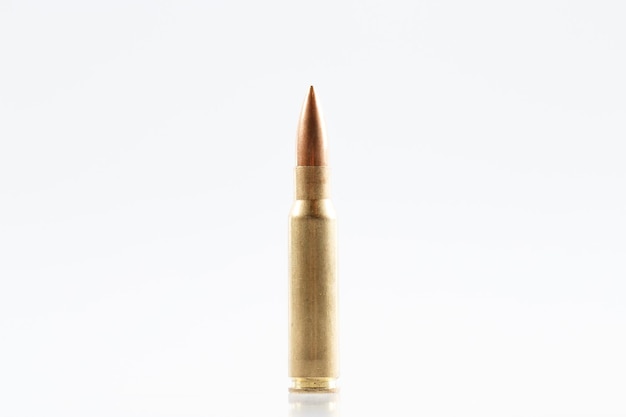 Photo hunting cartridges of caliber .308 win