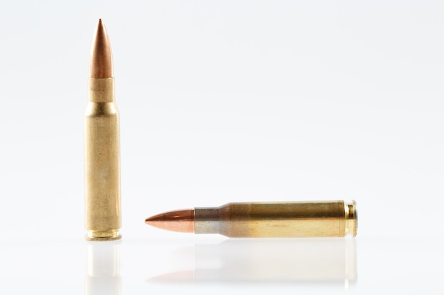 Hunting cartridges of caliber .308 Win