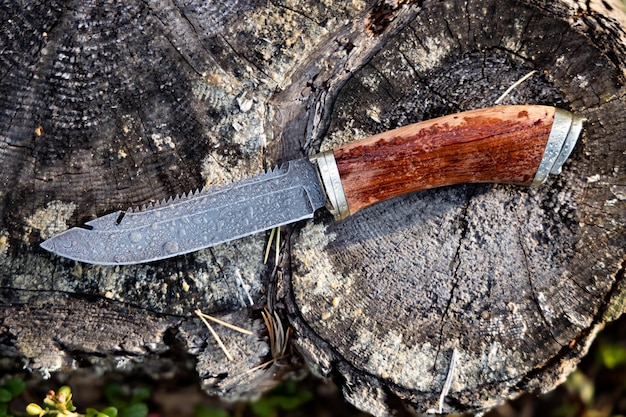 Hunting knife damascus steel on a forest background closeup