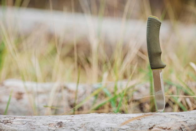 Hunting knife stuck in tree in forest