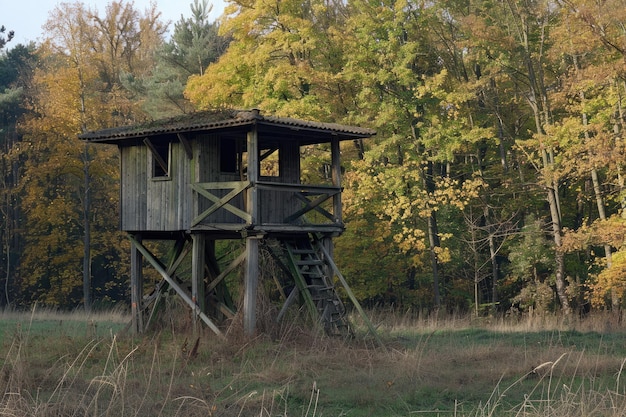 Photo hunting lookout at the edge of the forest