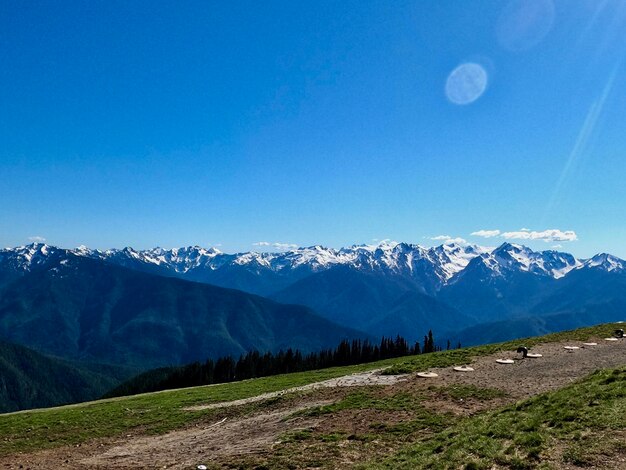 Hurricane ridge