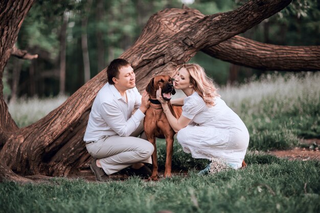 Husband and wife kissing their beloved pet while walking