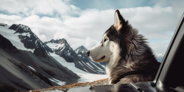 車の窓から外を眺めるハスキー犬の生成AI画像