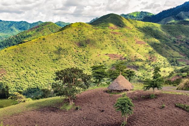 Hut in the Bonga forest reserve in southern Ethiopia