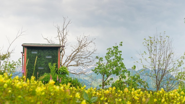 Hut camouflaged hunting in the green