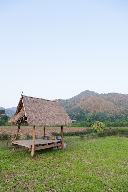 hut in the fields