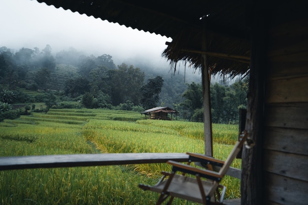 緑の田んぼの小屋で、休みの日、雨の中で休む