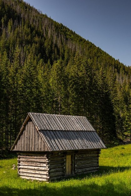 Hut in de Chocholowka-vallei in de bergen van het Tatra National Park in Polen in de buurt van Zakopane