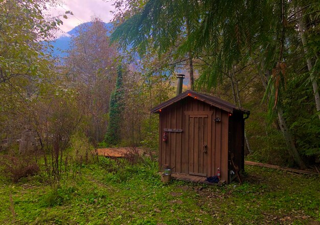 Фото Хижина в лесу.