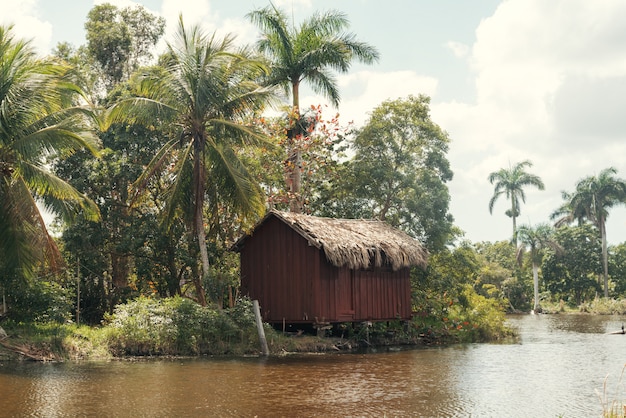 Hut in tropisch woud aan de oever van de rivier