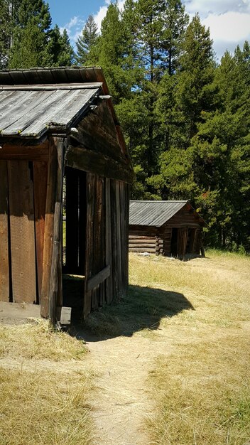 写真 農場の小屋