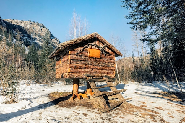 Hut op kippenpoten huis van baba yaga een personage uit een traditioneel Russisch volksverhaal