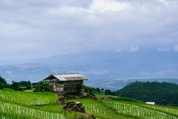 Hut in rice fileds on mountains