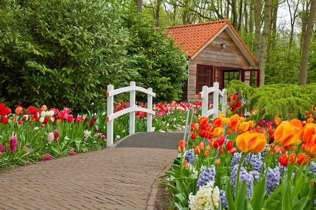 Hut in the spring flower garden Keukenhof Netherlands