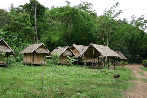 草の田んぼの小屋