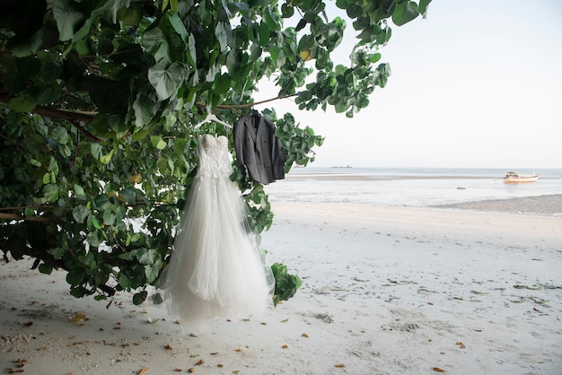 Huwelijkskleding birde en bruidegom op bomen in het strand