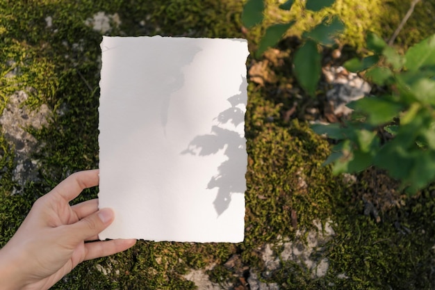 Huwelijksuitnodiging en bewaar de datumkaart mockup Landschapsachtergrond Gestileerde stockfotografie