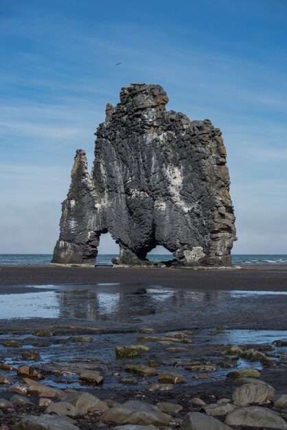 Hvitserkur Verticale basaltrots van dinosaurussen in IJsland