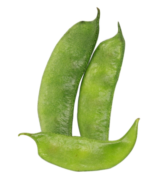 写真 白い背景の上のヒヤシンス豆またはインド豆