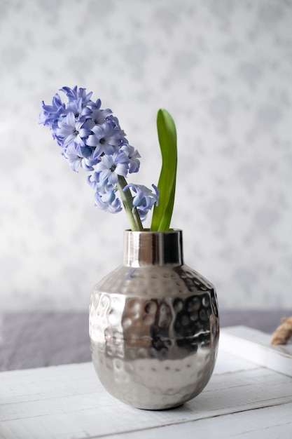 Hyacinth flower in a vase on the table