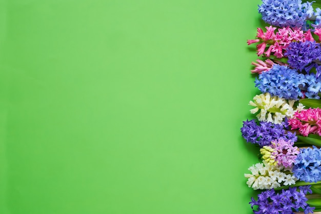 Hyacinth flowers border on green background top view copy space