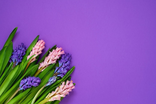 Mazzo di fiori di giacinto su sfondo viola vista dall'alto copia spazio