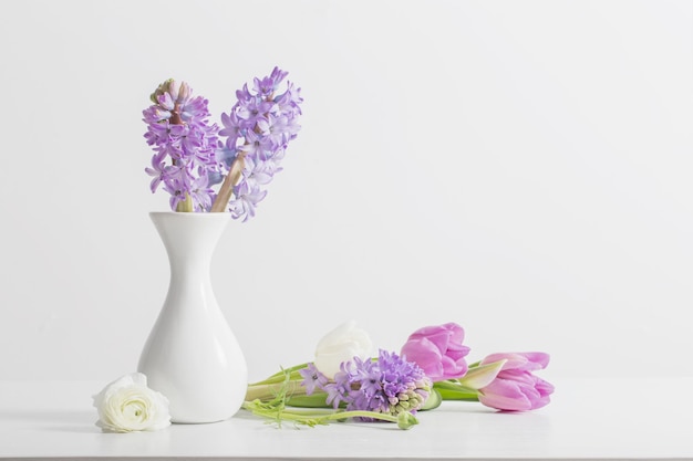 Hyacinth in vase on white background
