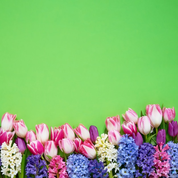 Hyacinths and pink tulips bouquet on green background. Top view, copy space. Mothers Day, Birthday, International Womens Day, Valentines Day concept. Greeting card.