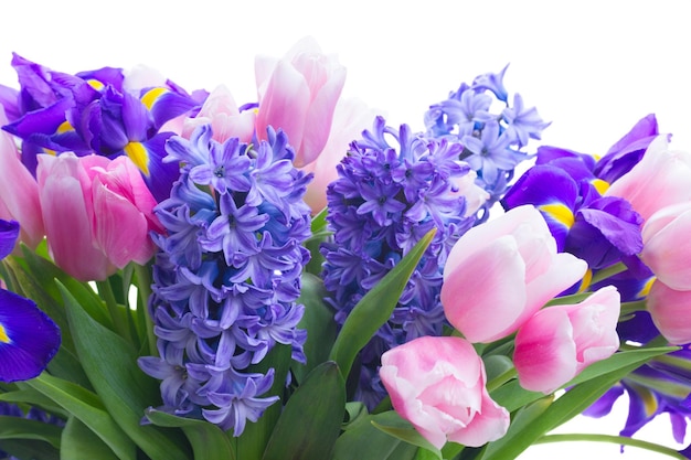 Hyacinths and tulips