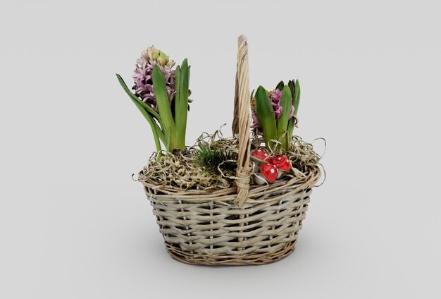 Hyacinths wicker basket minimal 3d rendering on white background